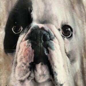 THE MOUNTAIN 2013 BULLDOG GRAPHIC T-SHIRT - Image 5