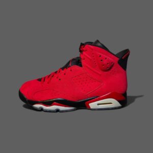 Air Jordan 6 Retro "Toro Bravo"
